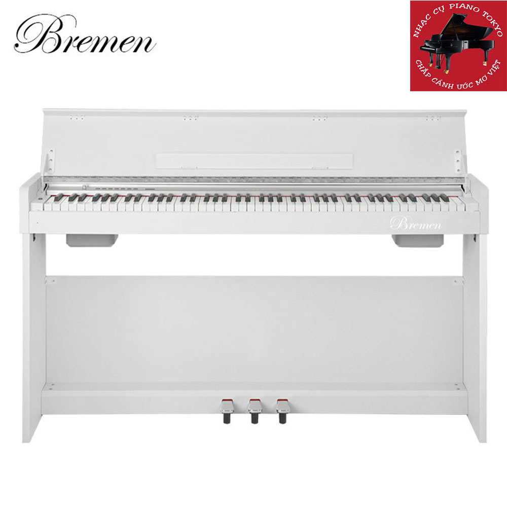 Đàn Piano Bremen BM330